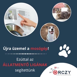 Ezúttal az Állatmentő Ligának segitettünk