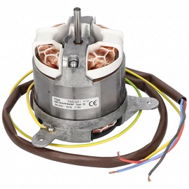 Motor (eredeti) INDESIT páraelszívó / RENDELÉSRE