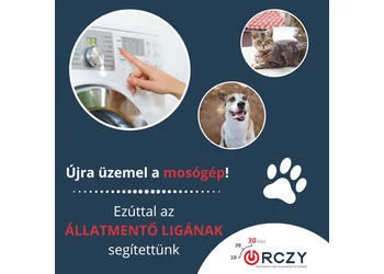 Ezúttal az Állatmentő Ligának segitettünk